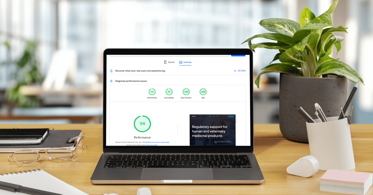 seo optimizacija gorenjska