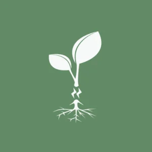 izdelava spletnih strani