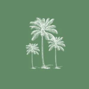 oblikovanje spletnih strani